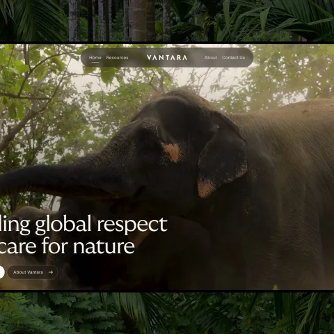 Vantara Web Design by Clay Brings Conservation to Life