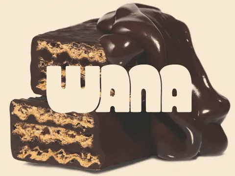Bold Retro Branding for Wana Confectionary