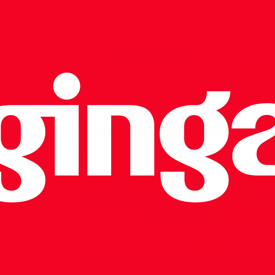 Ginga capoeira identity and branding hero graphic by Mateus Bredoff