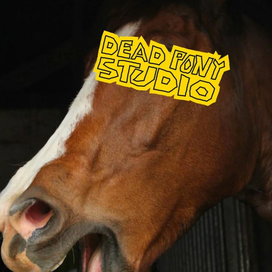 Deadpony Studio brand identity design hero shot by Anna Matevosian