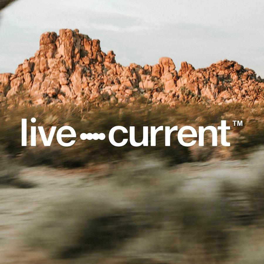 Live Current brand identity system overview and Neue Montreal logotype typography pairing — brand identity by Florian Cornut