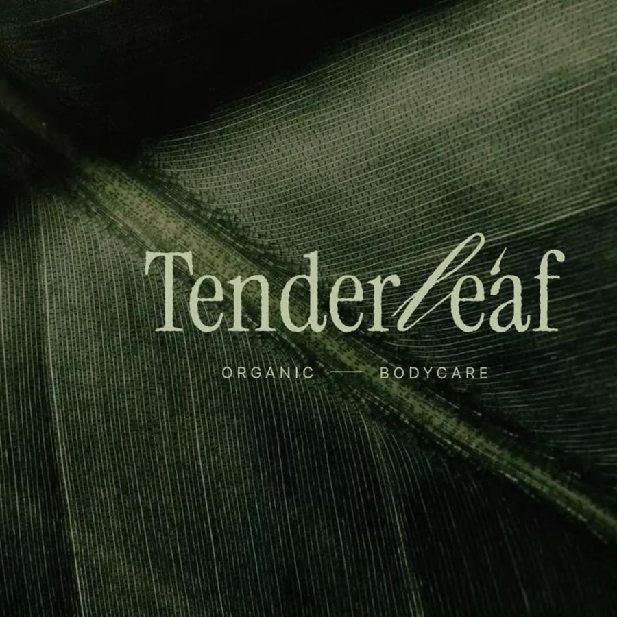 Tenderleaf Organic Bodycare serif and script logotype set over macro green leaf texture