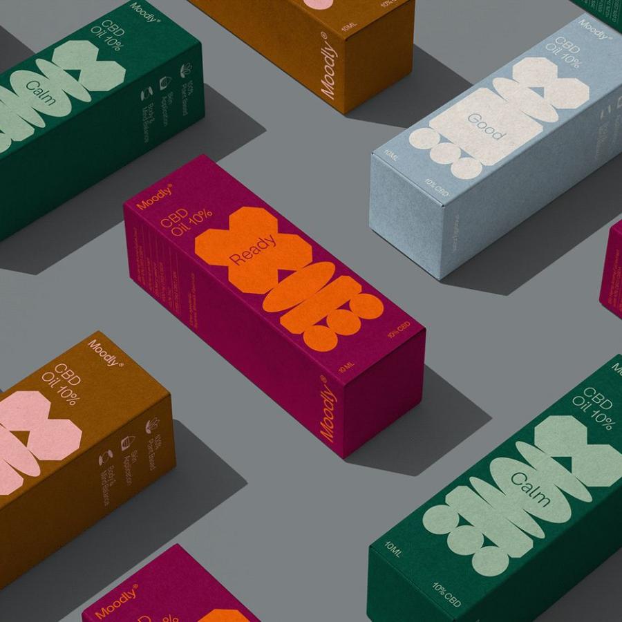 Moodly Branding branding hero layout mockup